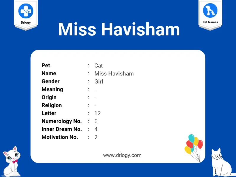 Miss Havisham Name Meaning